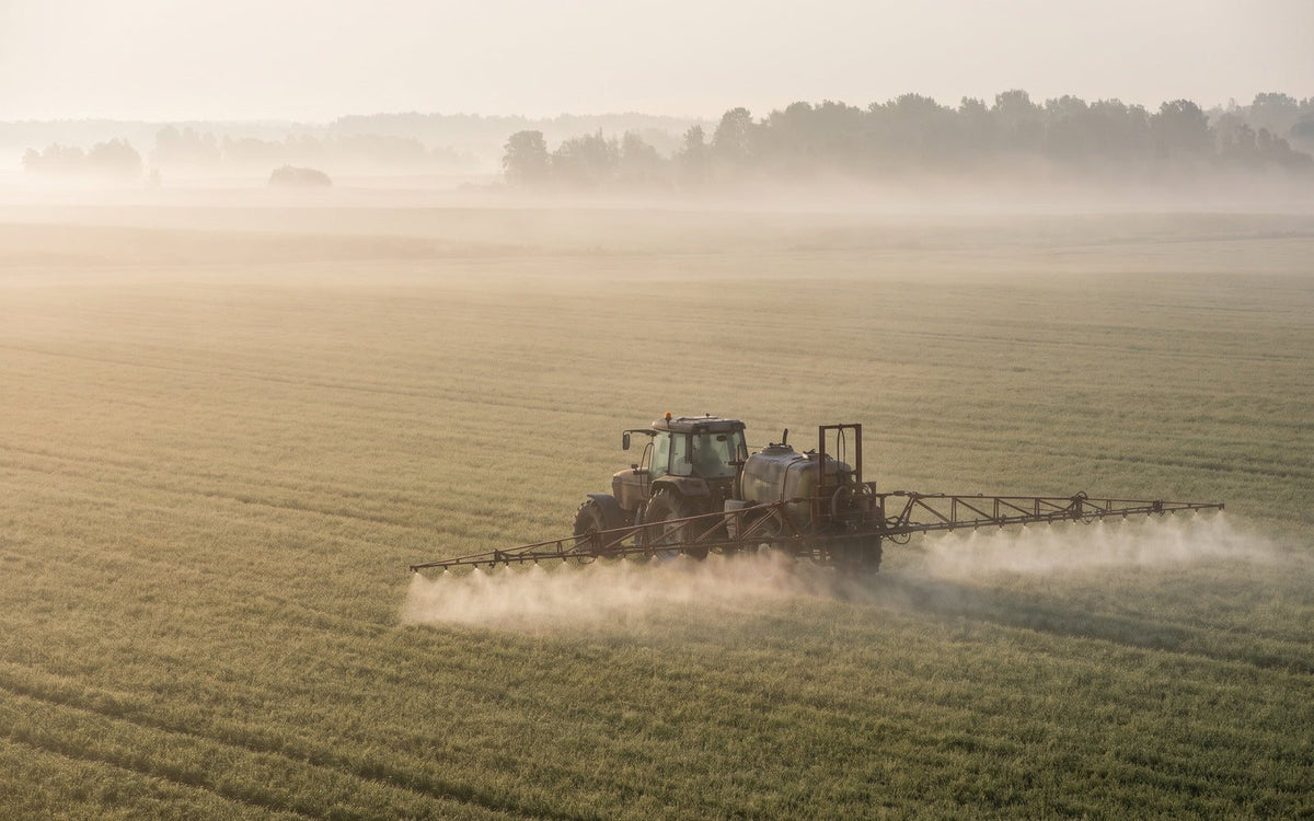 Crops sprayed with chemicals on a modern farm