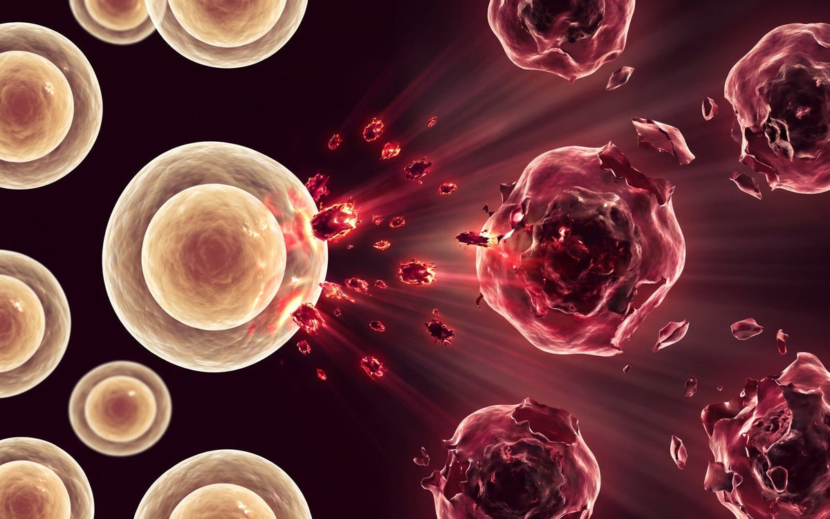 Free radicals damaging cells over time