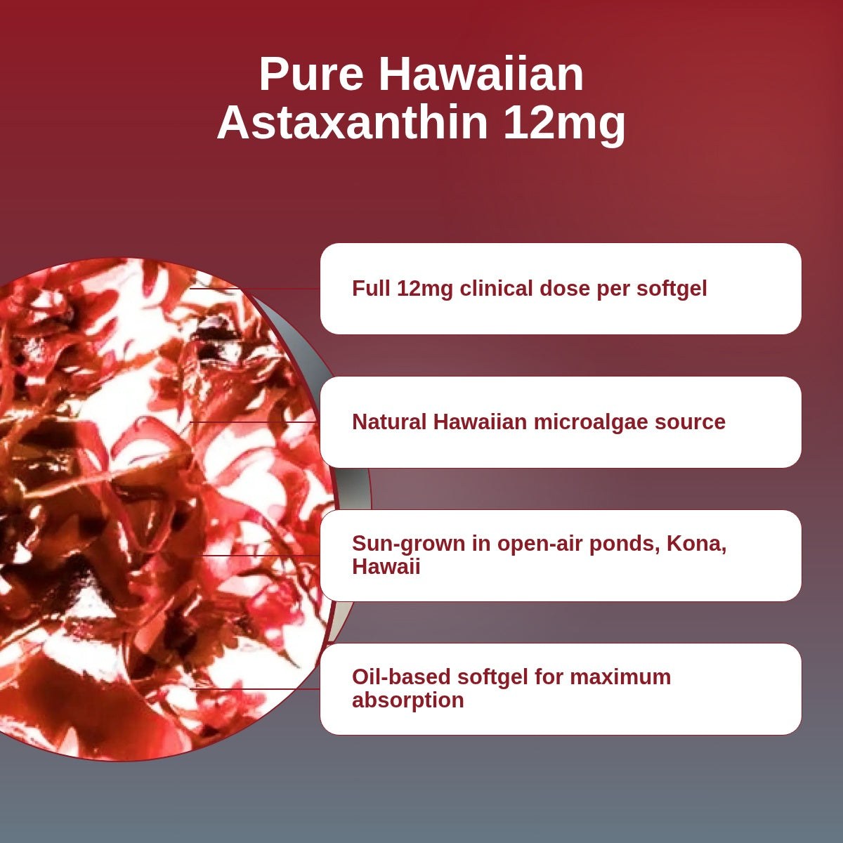 Pure Hawaiian astaxanthin 12 mg