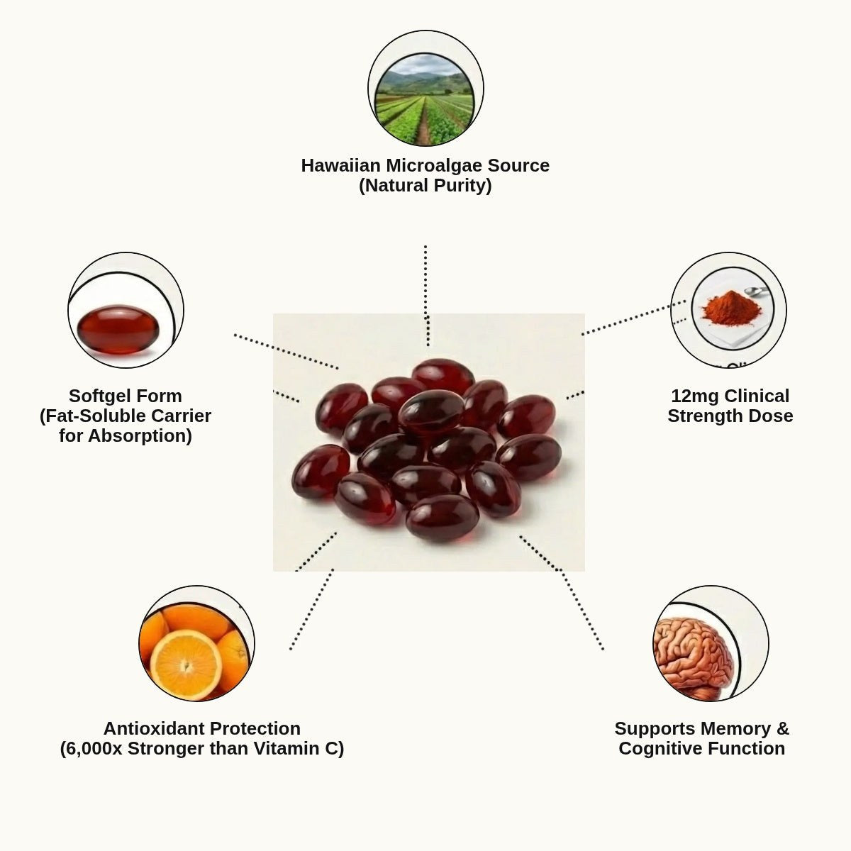 What is inside every softgel